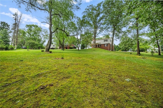 100 Laurel Hill Dr, Pine Twp Nal, PA 15090 - view of green lawn