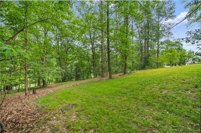 100 Laurel Hill Dr, Pine Twp Nal, PA 15090 - view of grassy yard with a forest view