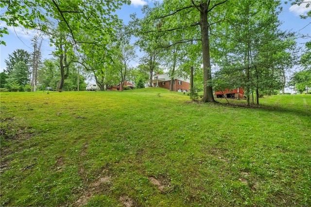 100 Laurel Hill Dr, Pine Twp Nal, PA 15090 - view of grassy yard