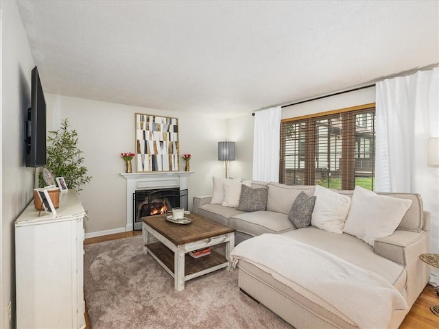 212 Timber Ln, Aleppo Nal, PA 15143 - living area featuring a warm lit fireplace and baseboards