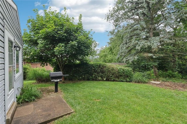 1154 Bucknell, Monroeville, PA 15146 - view of yard