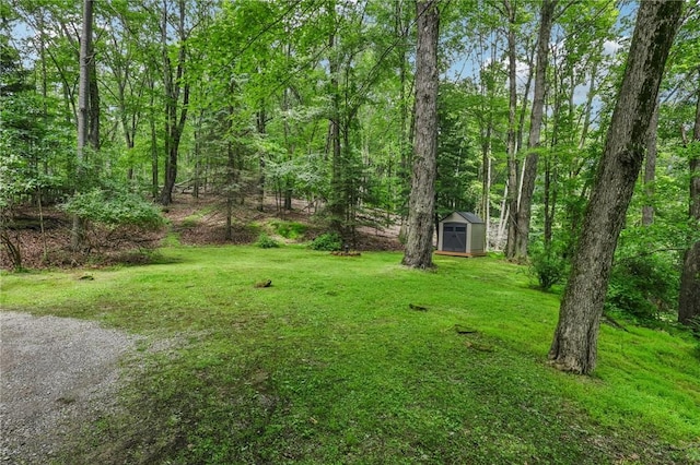 890 Pearce Mill Rd, Pine Twp Nal, PA 15090 - view of green lawn with a shed