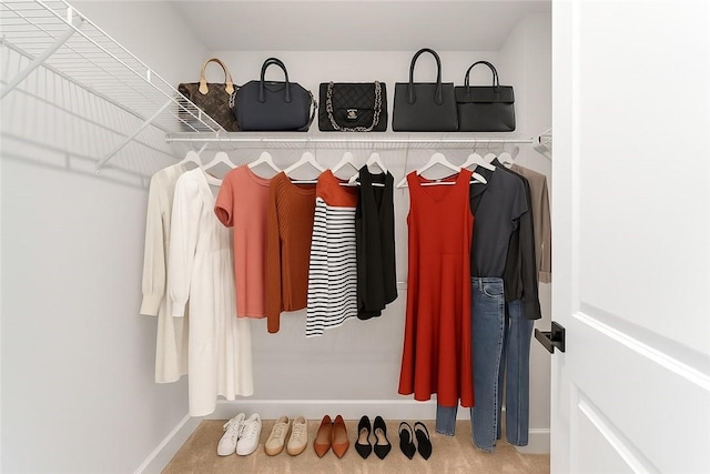 107 Abigail Dr, Adams Twp, PA 16046 - view of spacious closet