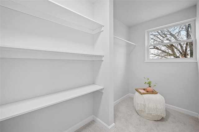 1171 Arrowood Dr, Mt Lebanon, PA 15243 - walk in closet featuring carpet floors