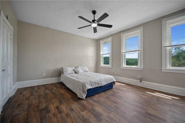 3103 Shadeland Ave, Brighton Heights, PA 15212 - bedroom with multiple windows, wood finished floors, and a ceiling fan