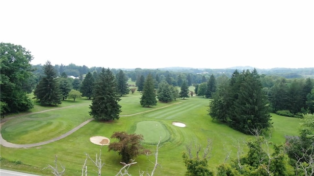 drone / aerial view of a local golf course