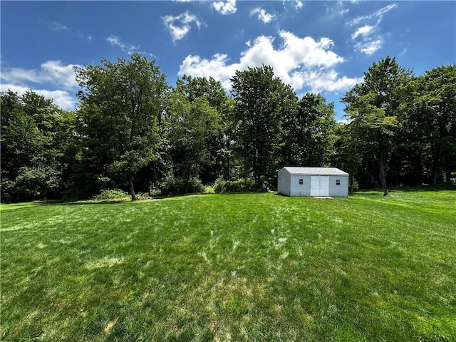 6209 Old Rte 8, Penn Twp, PA 16002 - view of grassy yard featuring a storage shed and a forest view