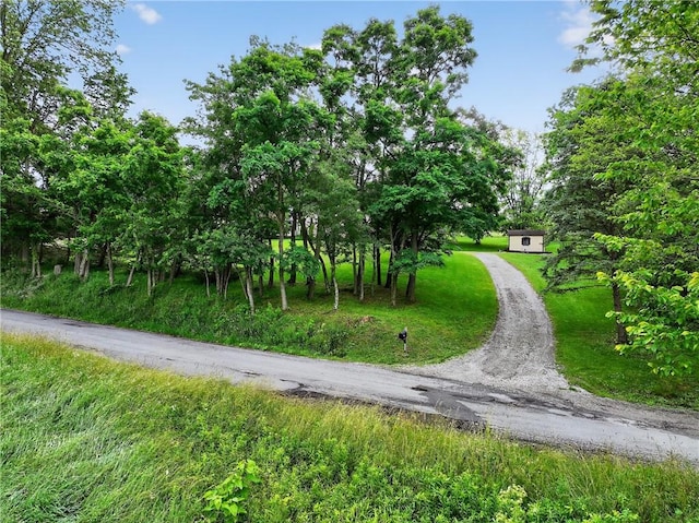 228 Bowman Rd, South Fayette, PA 15017 - view of road