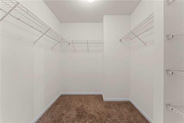 2804 Pointe View Dr, Adams Twp, PA 16046 - walk in closet with carpet floors