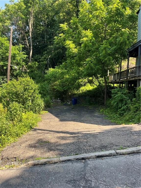 38 Rostock St, Spring Hill, PA 15212 - view of yard