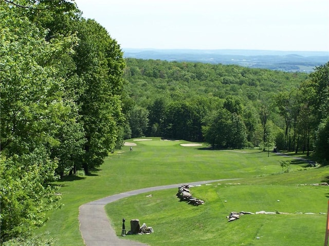 1147 Tanyard Ln, Hidden Valley, PA 15502 - view of home's community featuring a wooded view and a yard