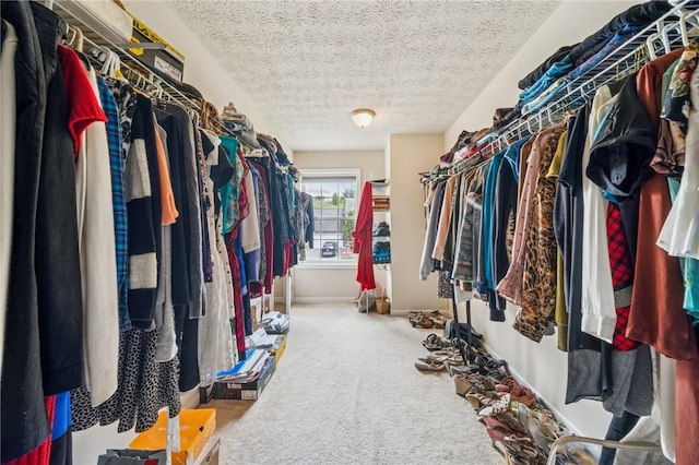 517 Callie Ct, Rostraver, PA 15089 - walk in closet with carpet flooring