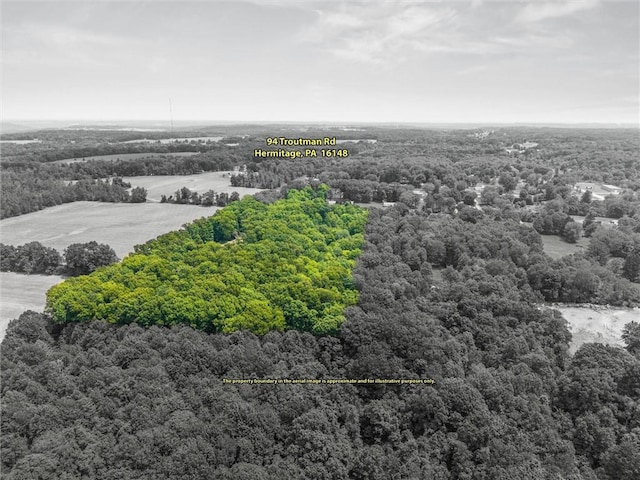 94 Troutman Rd, Pa, PA 16148 - aerial view of property's location featuring a forest and property boundaries highlighted