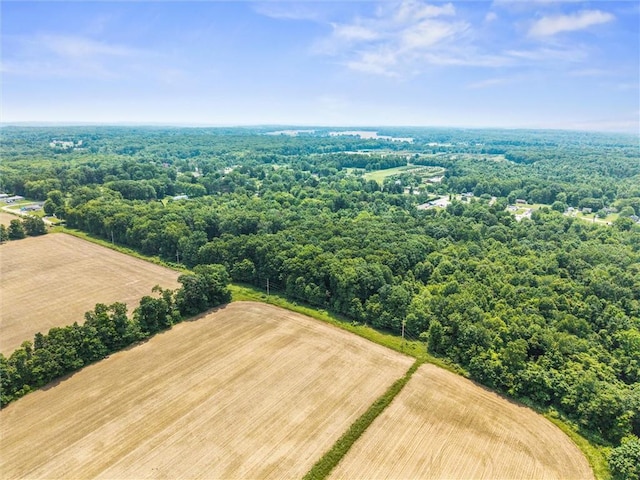 94 Troutman Rd, Pa, PA 16148 - view of rural area featuring a heavily wooded area
