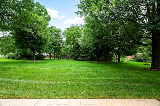 220 N Dr, Center Twp But, PA 16001 - view of grassy yard
