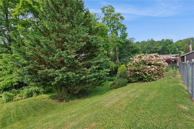 991 Diane Dr N, Versailles, PA 15137 - view of yard
