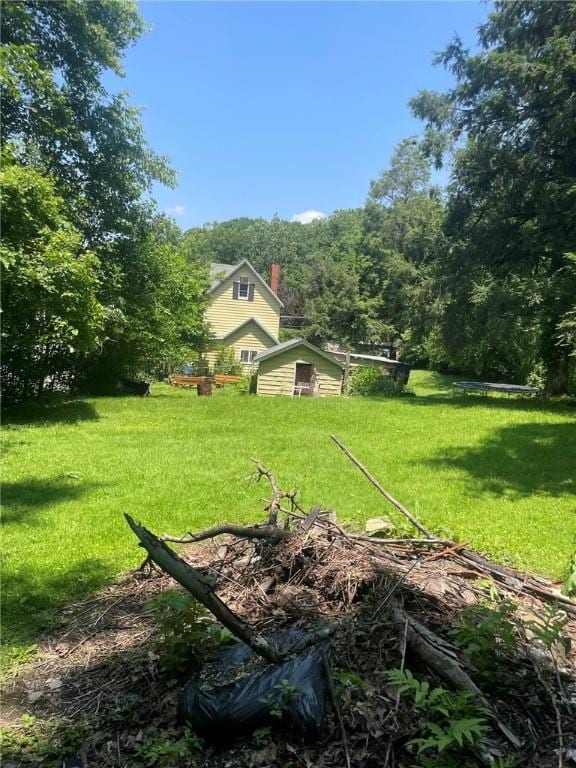 1213 Mccormick Ave, Connellsville, PA 15425 - view of grassy yard