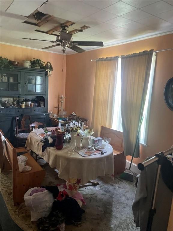 1213 Mccormick Ave, Connellsville, PA 15425 - dining area with ceiling fan and crown molding