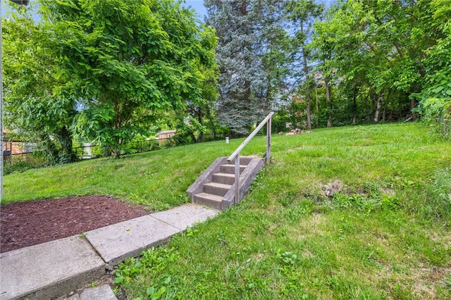 404 Ariston Ave, Carrick, PA 15210 - view of yard