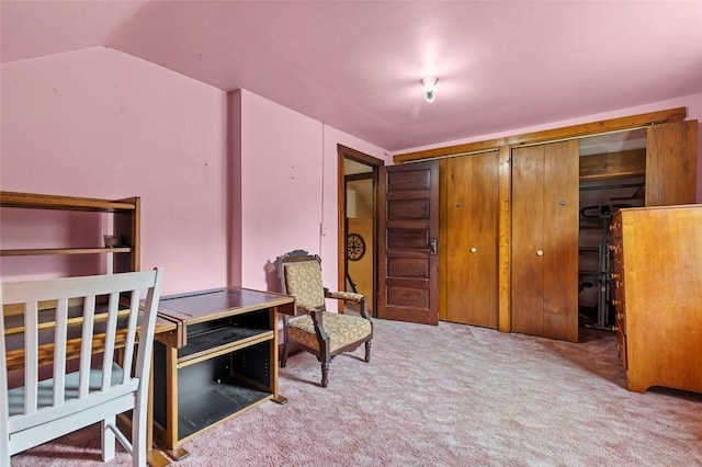 623 Rte 30, Findlay Twp, PA 15126 - bedroom with carpet floors and lofted ceiling