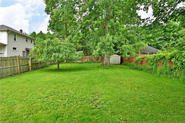 1107 W Ridge Ave, Sharpsville, PA 16150 - fenced backyard featuring a shed