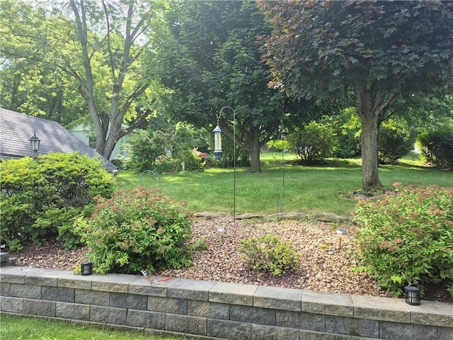 414 Sloan Ave, Jeannette, PA 15644 - view of green lawn