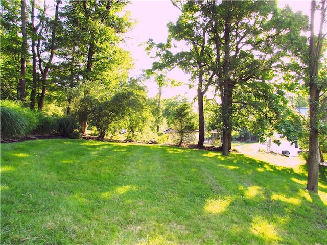 3853 Grist Mill Ln, Murrysville, PA 15668 - view of grassy yard