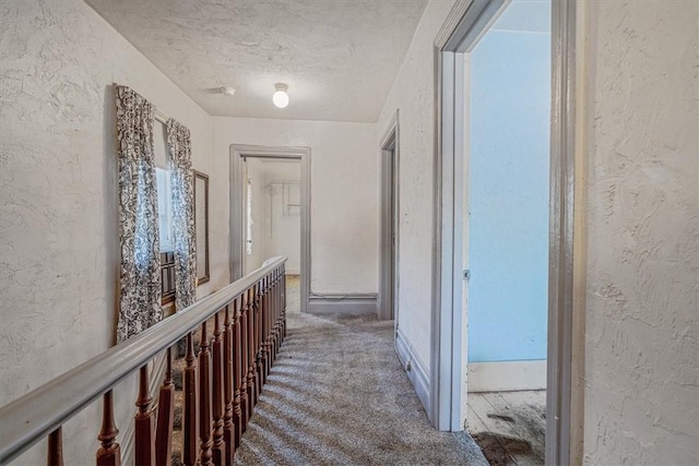101 7th St, Monongahela City, PA 15063 - hall featuring a textured wall, a textured ceiling, and carpet