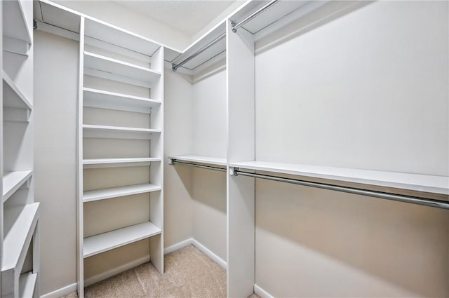 117 Clubhouse Cir, Shenango Twp Mer, PA 16159 - walk in closet with light carpet