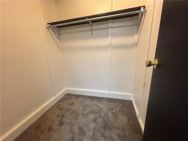 26 Mount View Dr, Burgettstown Boro, PA 15021 - walk in closet with carpet flooring