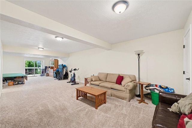 509 Saddle Ridge Dr, Penn Twp Wml, PA 15642 - view of carpeted living room