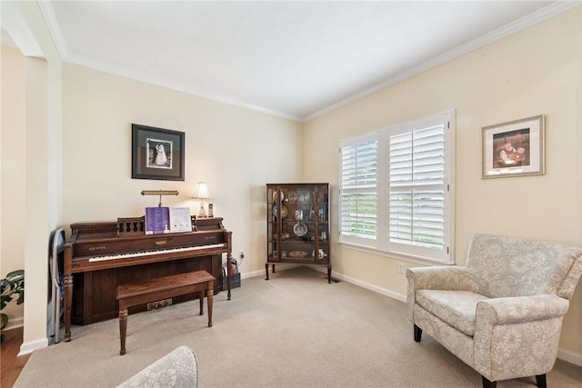 509 Saddle Ridge Dr, Penn Twp Wml, PA 15642 - sitting room with ornamental molding and carpet floors