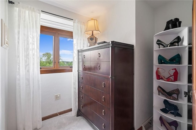 585 Taylor Dr, North Strabane, PA 15317 - spacious closet with light carpet
