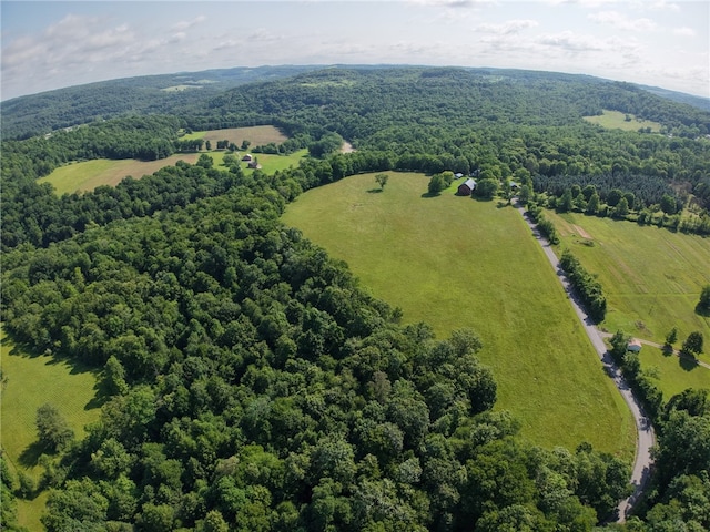 273 Government Rd, Pa, PA 16242 - photo 22
