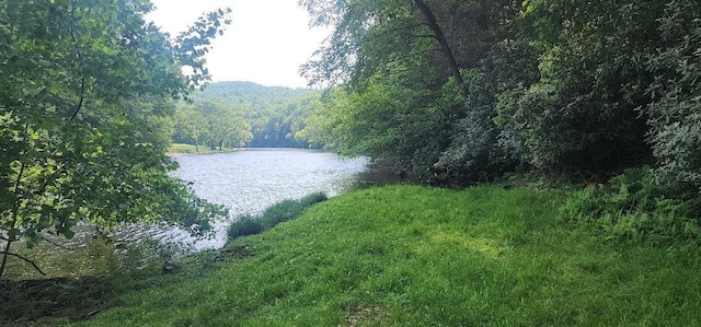 273 Government Rd, Pa, PA 16242 - photo 25