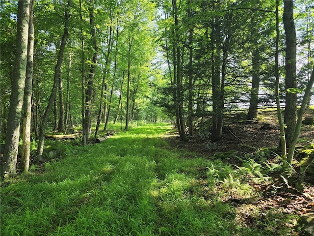 273 Government Rd, Pa, PA 16242 - photo 27