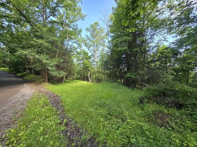 273 Government Rd, Pa, PA 16242 - photo 29