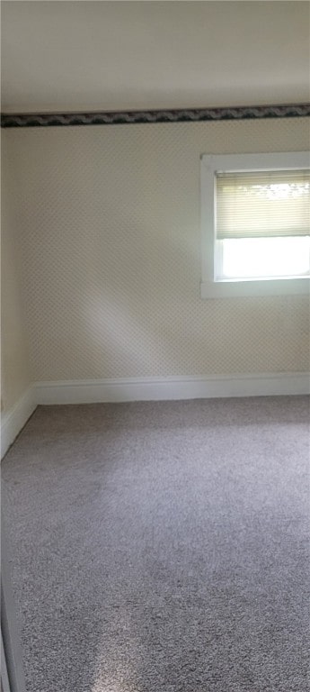 273 Government Rd, Pa, PA 16242 - photo 10
