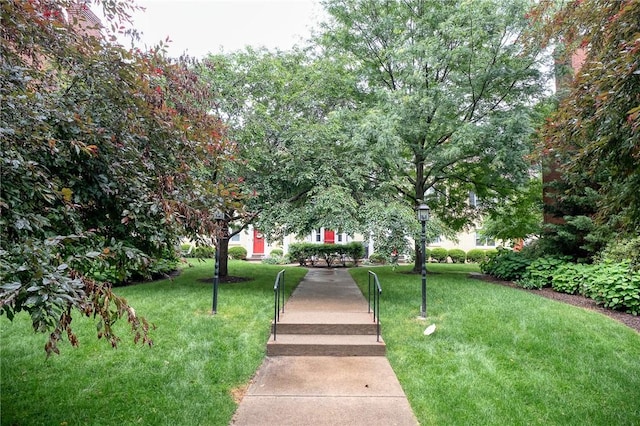 6833 Meade St Unit 17, Point Breeze, PA 15208 - view of property's community with a yard
