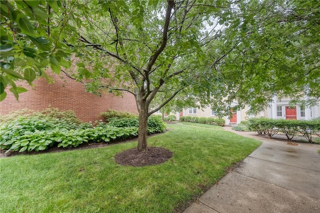 6833 Meade St Unit 17, Point Breeze, PA 15208 - view of green lawn