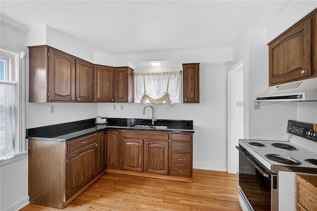 17 Fremont Rd, Pa, PA 15022 - kitchen with white electric stove, under cabinet range hood, dark countertops, light wood-style floors, and plenty of natural light