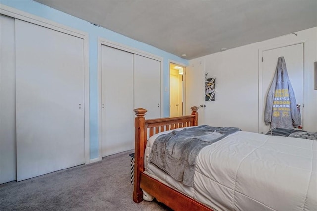 1230 Northwestern Dr, Monroeville, PA 15146 - carpeted bedroom featuring multiple closets