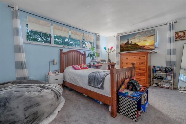 1230 Northwestern Dr, Monroeville, PA 15146 - view of carpeted bedroom