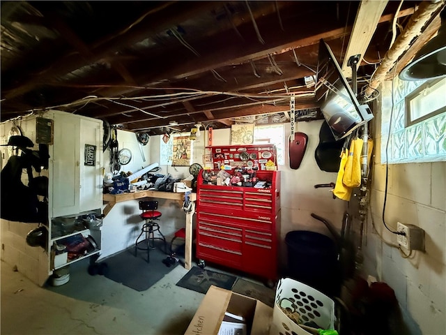 141 Carmichaels St, Dry Tav/Rices Landing, PA 15357 - basement with a workshop area and plenty of natural light