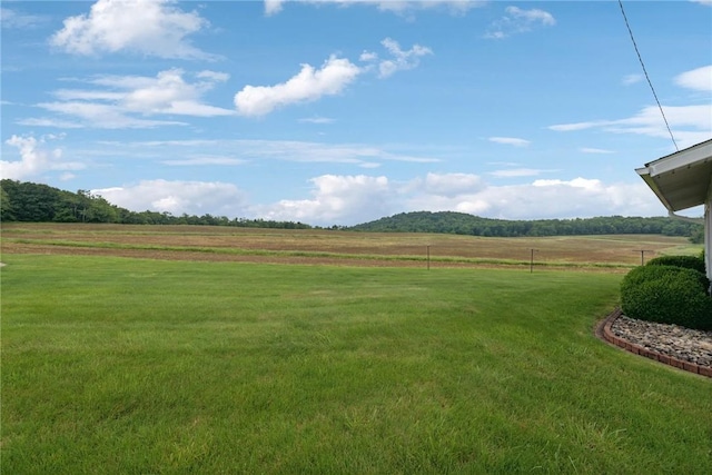 207 State Park Rd, New Alexandria, PA 15670 - view of green lawn featuring a view of rural / pastoral area