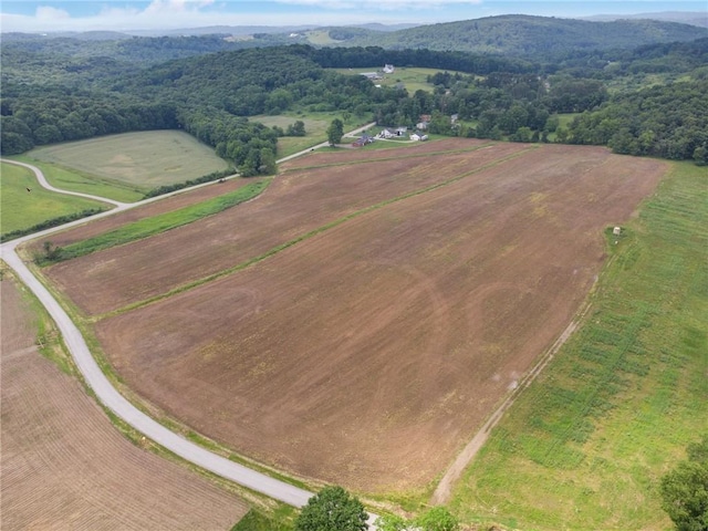 207 State Park Rd, New Alexandria, PA 15670 - view of rural area featuring mountains