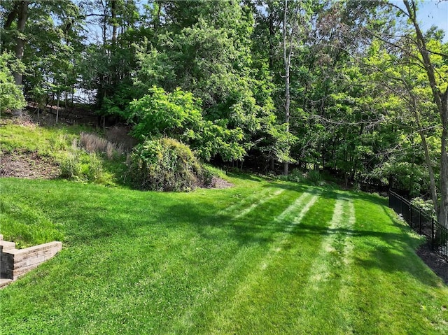 408 Bryn Ct, Ross Twp, PA 15237 - view of yard