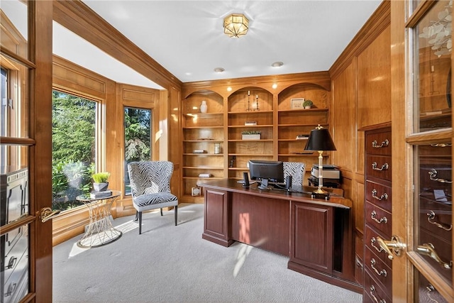 408 Bryn Ct, Ross Twp, PA 15237 - office space with carpet floors, wood walls, built in shelves, and ornamental molding