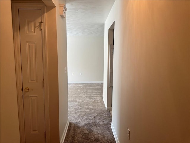 1523 Timothy Dr, Derry Twp, PA 15650 - hallway with dark colored carpet and a textured ceiling