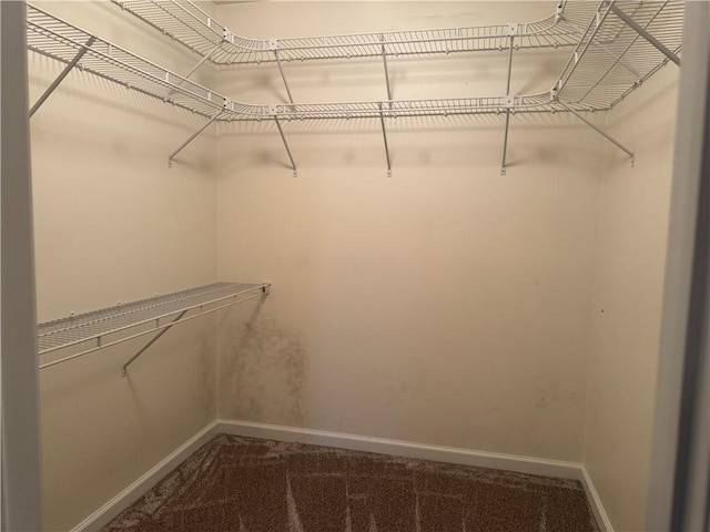 1523 Timothy Dr, Derry Twp, PA 15650 - walk in closet with carpet